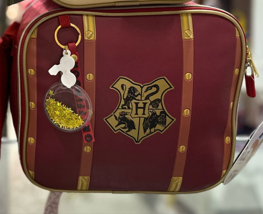 Lapicera Harry Potter hedwig Ruz