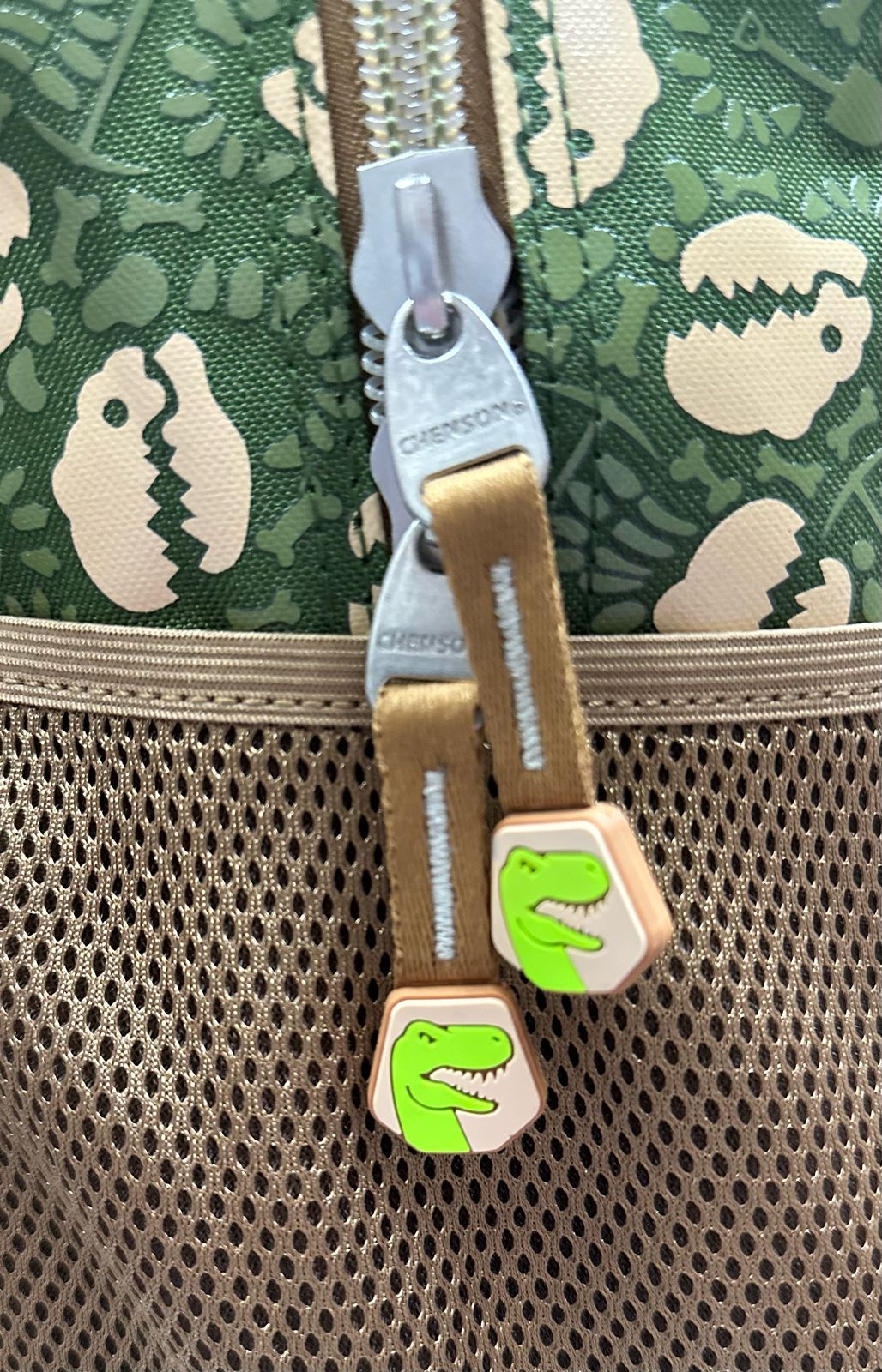 Mochila primaria fósiles dinosaurio Chenson
