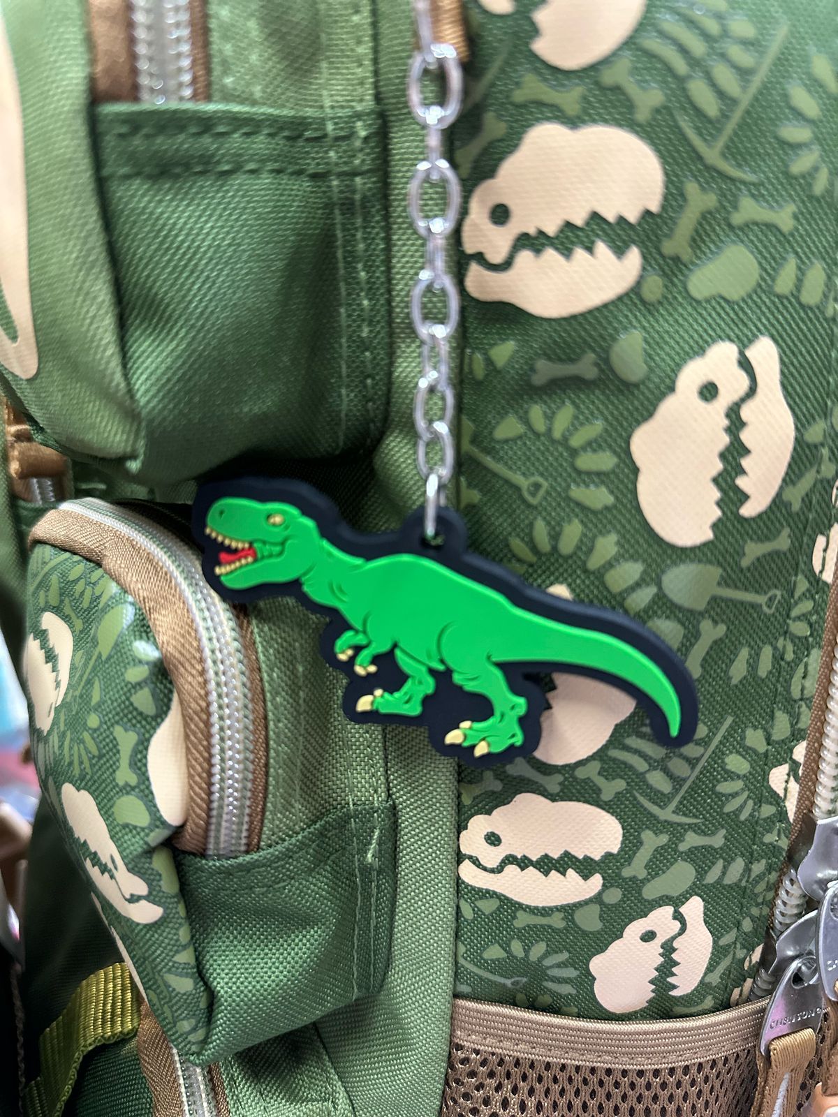 Combo Primaria fósiles dinosaurio Chenson